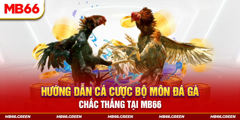 233 leyuan CQ9 Điện Tử
