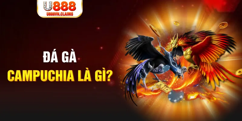 233 leyuan xổ số miền nam thứ sáu