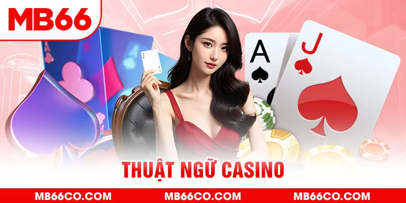233 leyuan slot là j