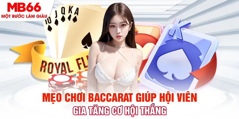 233 leyuan đá gà 88