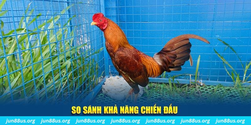 233 leyuan xổ số tiền giang