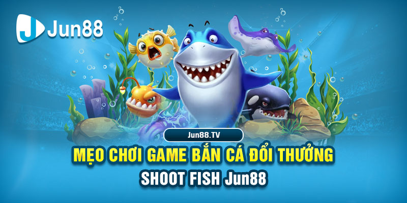 233 leyuan tai game danh bai bigkool ve may tinh
