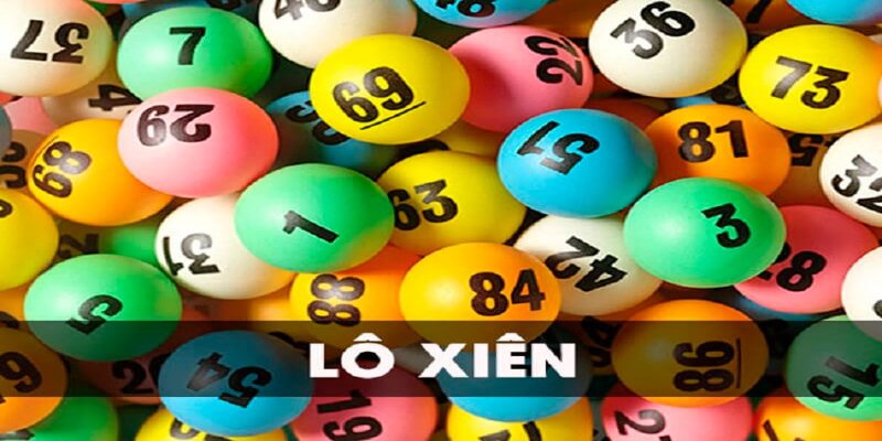 233 leyuan what is a casino comp program