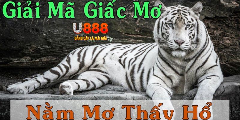 233 leyuan xổ số kiến thiết miền bắc