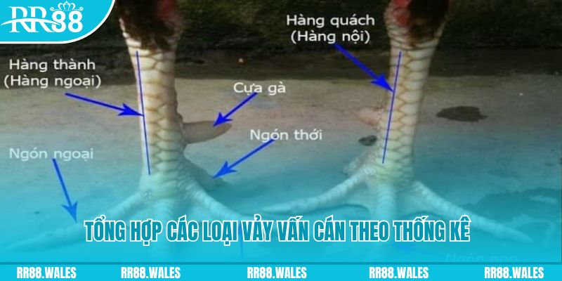 233 leyuan nổ hũ chơi như thế nào