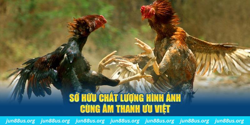 233 leyuan tai game danh bai ve may tinh