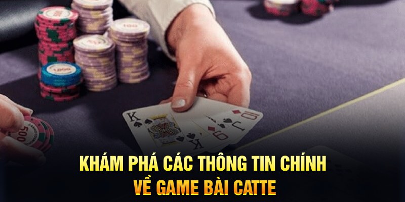 233 leyuan Trăm người Bo tám Bo chín