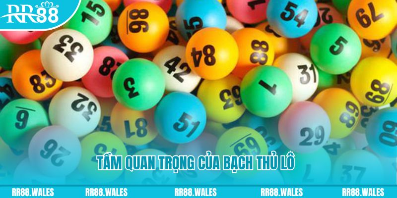 233 leyuan đá gà trực tiếp casino