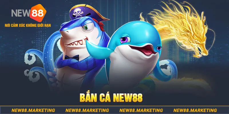 233 leyuan 2 slot là gì