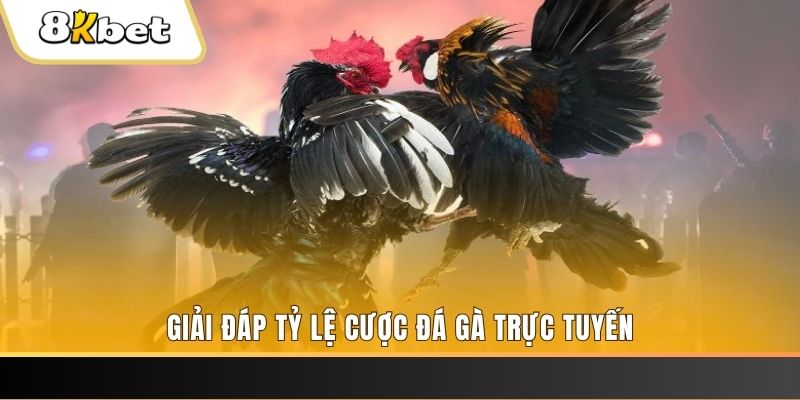 233 leyuan xổ số ba đài