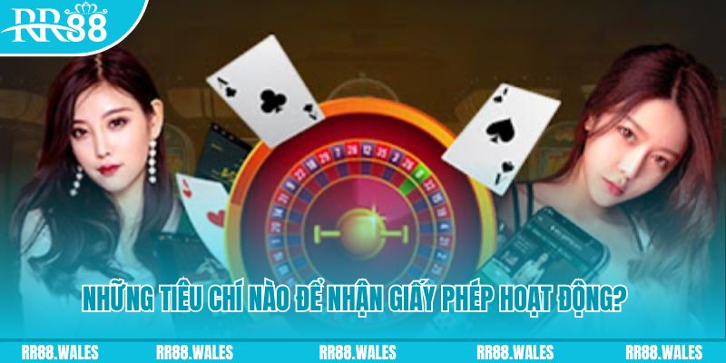 233 leyuan casino ở đâu