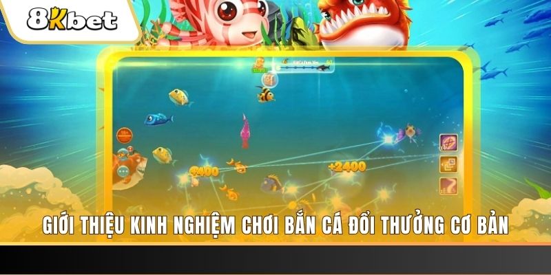 233 leyuan 8 bí ẩn chơi nổ hũ ít ai biết