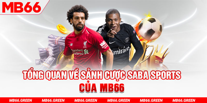 233 leyuan slot có nghĩa là gì