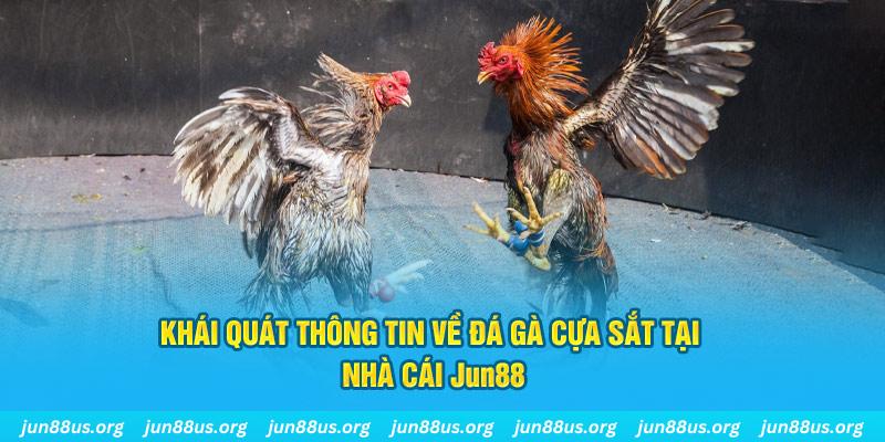 233 leyuan game bài trên máy tính