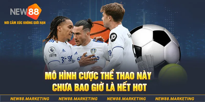 233 leyuan gà chọi c1 thomo