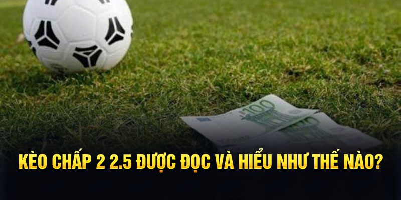 233 leyuan đá gà thomo