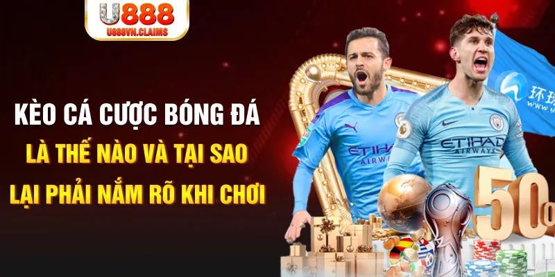 233 leyuan slot la gì