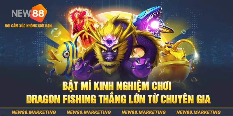 233 leyuan who wants to be a millionaire slot