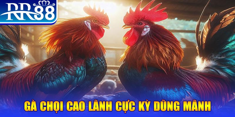 233 leyuan natural” trong baccarat nghĩa là gì？