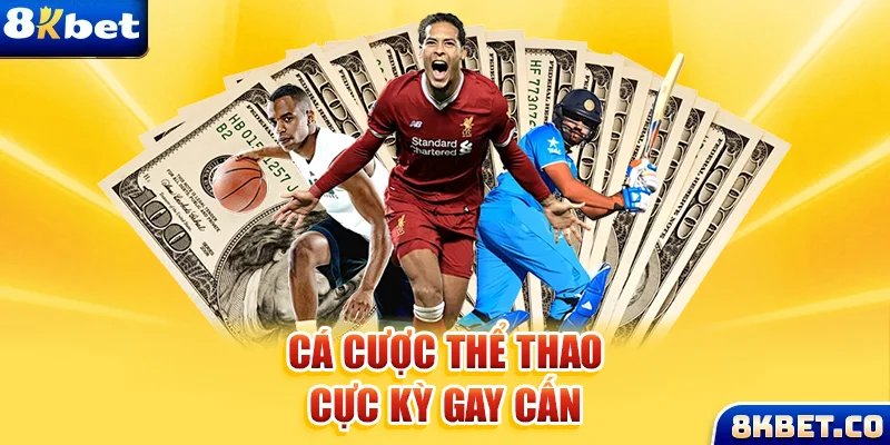 233 leyuan Bữa tiệc dành cho thanh thiếu niên